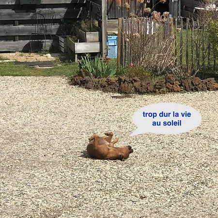 Les Logis D'argent Indépendant Parking Entrée Autonome Linge De Lit Et Serviettes Wifi Fibre Tv Connectée Mimizan