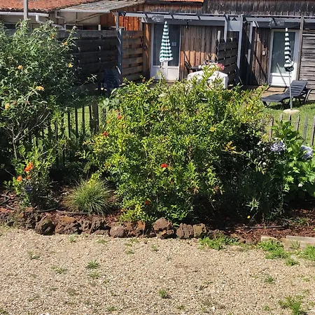 Apartment Les Logis D'argent Independant Parking Entree Autonome Linge De Lit Et Serviettes Wifi Fibre Tv Connectee