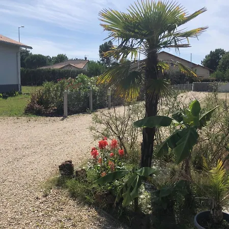 Les Logis D'argent Independant Parking Entree Autonome Linge De Lit Et Serviettes Wifi Fibre Tv Connectee * Mimizan